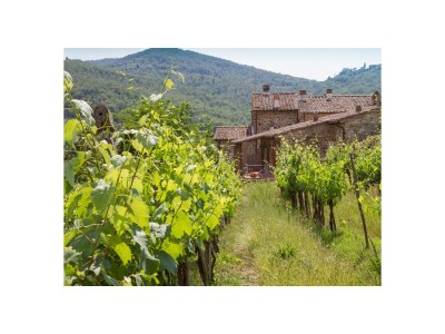 Farmhouse Le Masse Greve In Chianti - Outdoor photo 5