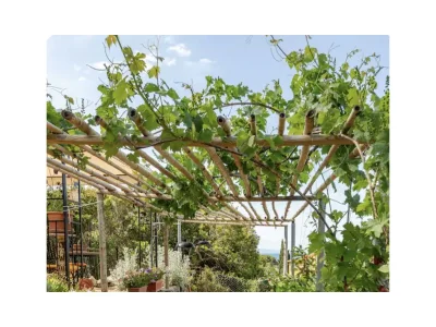 Holiday house La Torre sul Ponte - Outdoor photo 5