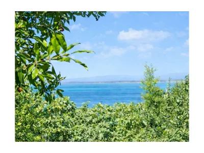 Holiday house La Torre sul Ponte - Environment photo 25