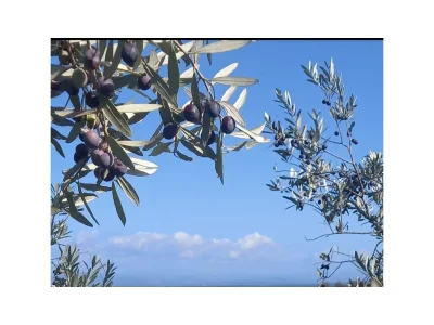 Holiday house La Torre sul Ponte - Environment photo 26