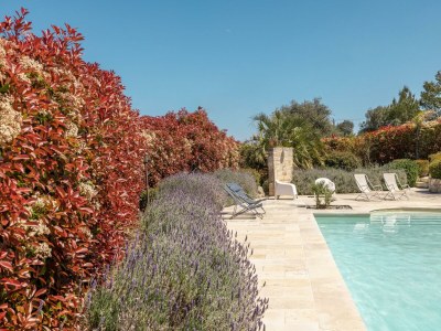 Farmhouse Villa Trullo Serenique - Environment photo 19