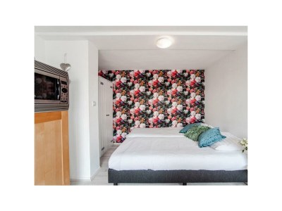 Holiday house Studio Papillon - Features photo 45