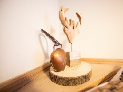 Holiday apartment Alpennest - Features photo 14