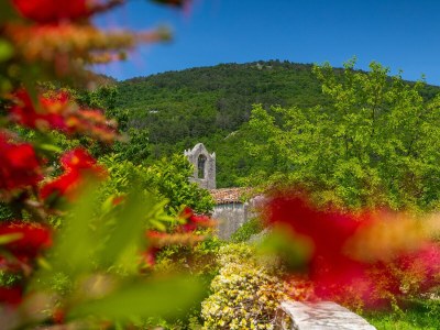 Villa No title - Environment photo 31