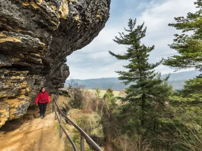 Holiday apartment at the foot of the Lilienstein - Environment photo 14