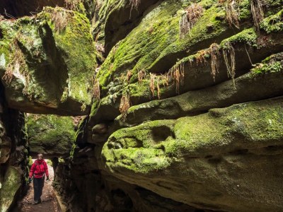 Holiday apartment at the foot of the Lilienstein - Environment photo 19