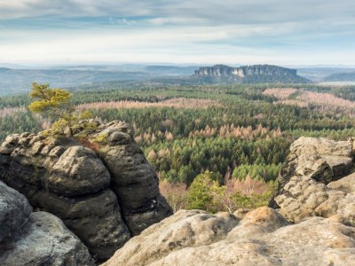 Holiday apartment at the foot of the Lilienstein - Environment photo 20