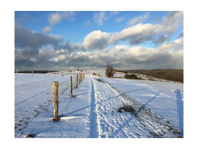 Apartment Ferienwohnung Vogelnest - mit Balkon bis 5 Pers - Outdoor photo 6