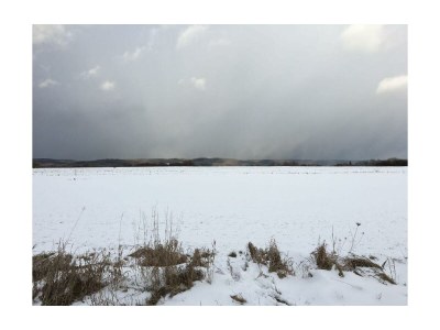 Apartment Ferienwohnung Vogelnest - mit Balkon bis 5 Pers - Outdoor photo 11
