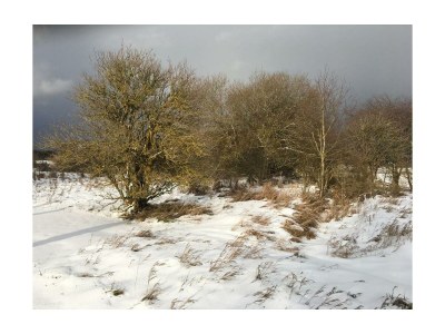 Apartment Ferienwohnung Vogelnest - mit Balkon bis 5 Pers - Outdoor photo 13