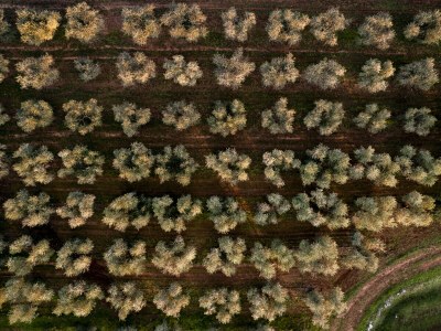 Holiday house Villa Sun - Environment photo 27