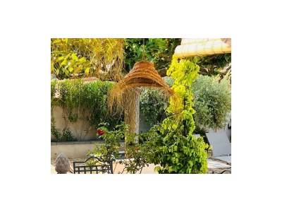 Holiday house A Little Dream in Oppède - Outdoor photo 7