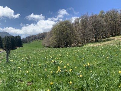 Holiday house Little Mountain cottage - Environment photo 16