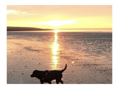 Holiday house Grevelingenlaan 3 - Environment photo 39