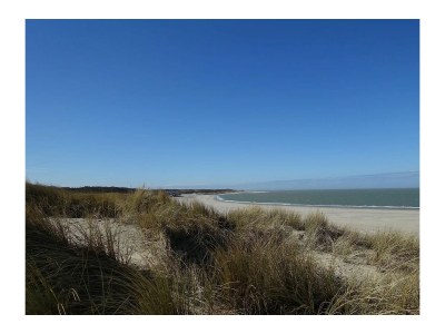 Holiday house Noordzeelaan 93 - Environment photo 38