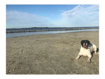 Holiday house Schouwseslag 3 - Environment photo 32