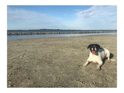 Holiday house Schouwseslag 9 - Environment photo 37