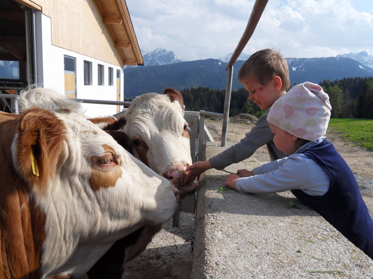 Holiday apartment Schmoezlhof farm - Outdoor photo 5