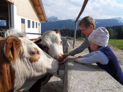 Holiday apartment Schmoezlhof farm - Outdoor photo 5