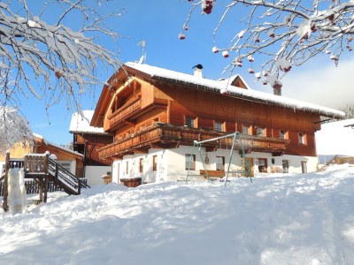 Holiday apartment Schmoezlhof farm - Outdoor photo 6