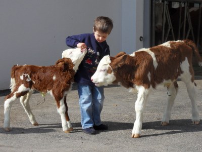 Holiday apartment Schmoezlhof farm - Environment photo 14