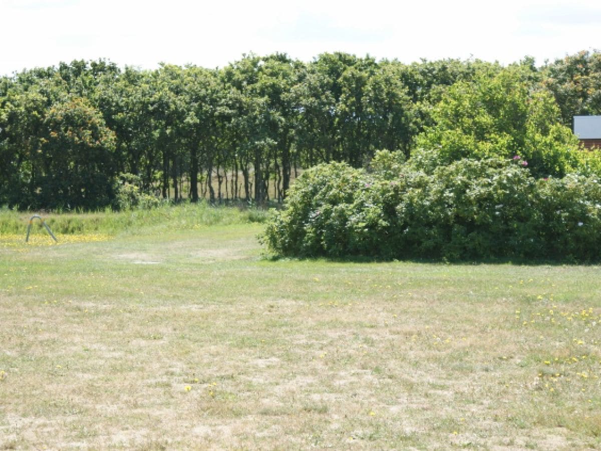 Holiday house Hasecamer "Nicolina" number 126