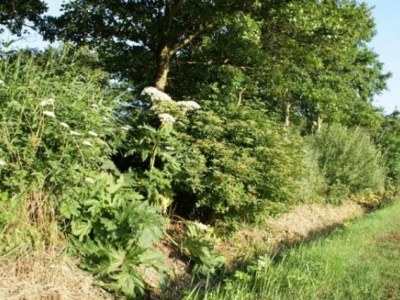 Holiday house Hasecamer "Nicolina" number 126 - Environment photo 20