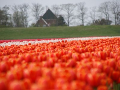 Holiday house Hasecamer "Nicolina" number 126 - Environment photo 22