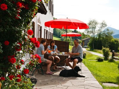 Holiday apartment Haaralm - Haus Daniel - Features photo 13