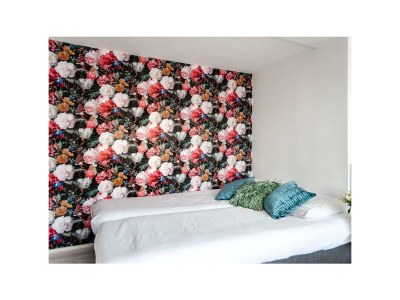 Holiday house Appartment Papillon - Features photo 48