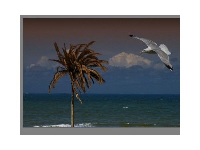 Holiday house Appartment Papillon - Environment photo 60