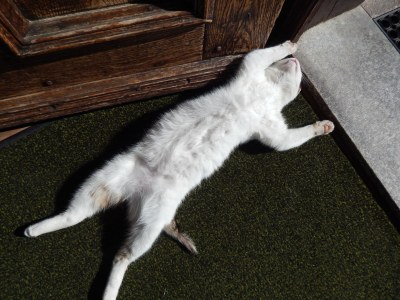 Holiday apartment Schwarzachen Alm - Haus Daniel - Outdoor photo 10