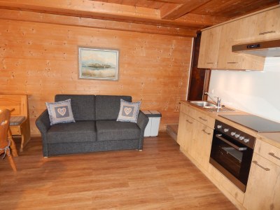 Holiday apartment Schwarzachen Alm - Haus Daniel - Features photo 16