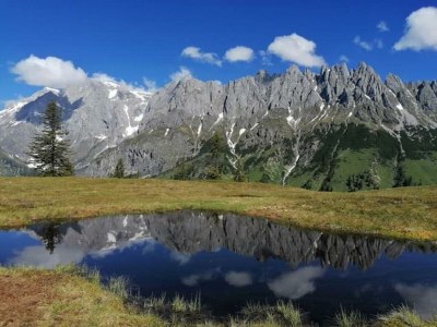 Apartment Ferienwohnung " Schneeberg " - Outdoor photo 20