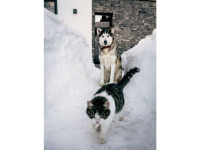 Apartment Ferienwohnung " Schneeberg " - Outdoor photo 28