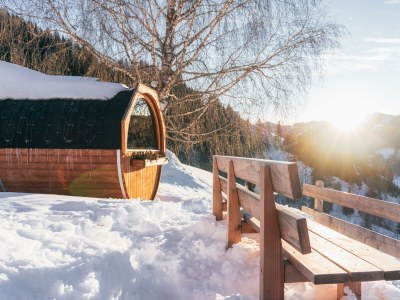 Apartment Ferienwohnung " Schneeberg " - Outdoor photo 34