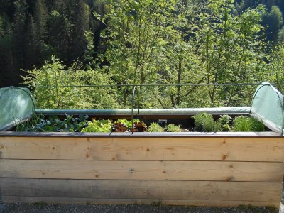 Apartment Appartement/Fewo, Dusche, WC, 2 Schlafräume - Outdoor photo 6