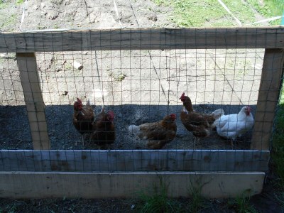 Apartment Appartement/Fewo, Dusche, WC, 2 Schlafräume - Outdoor photo 11