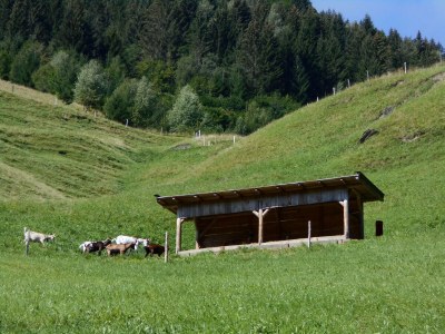 Apartment Appartement/Fewo, Dusche, WC, 2 Schlafräume - Outdoor photo 12