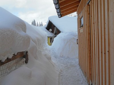 Apartment Appartement/Fewo, Dusche, WC, 2 Schlafräume - Outdoor photo 14