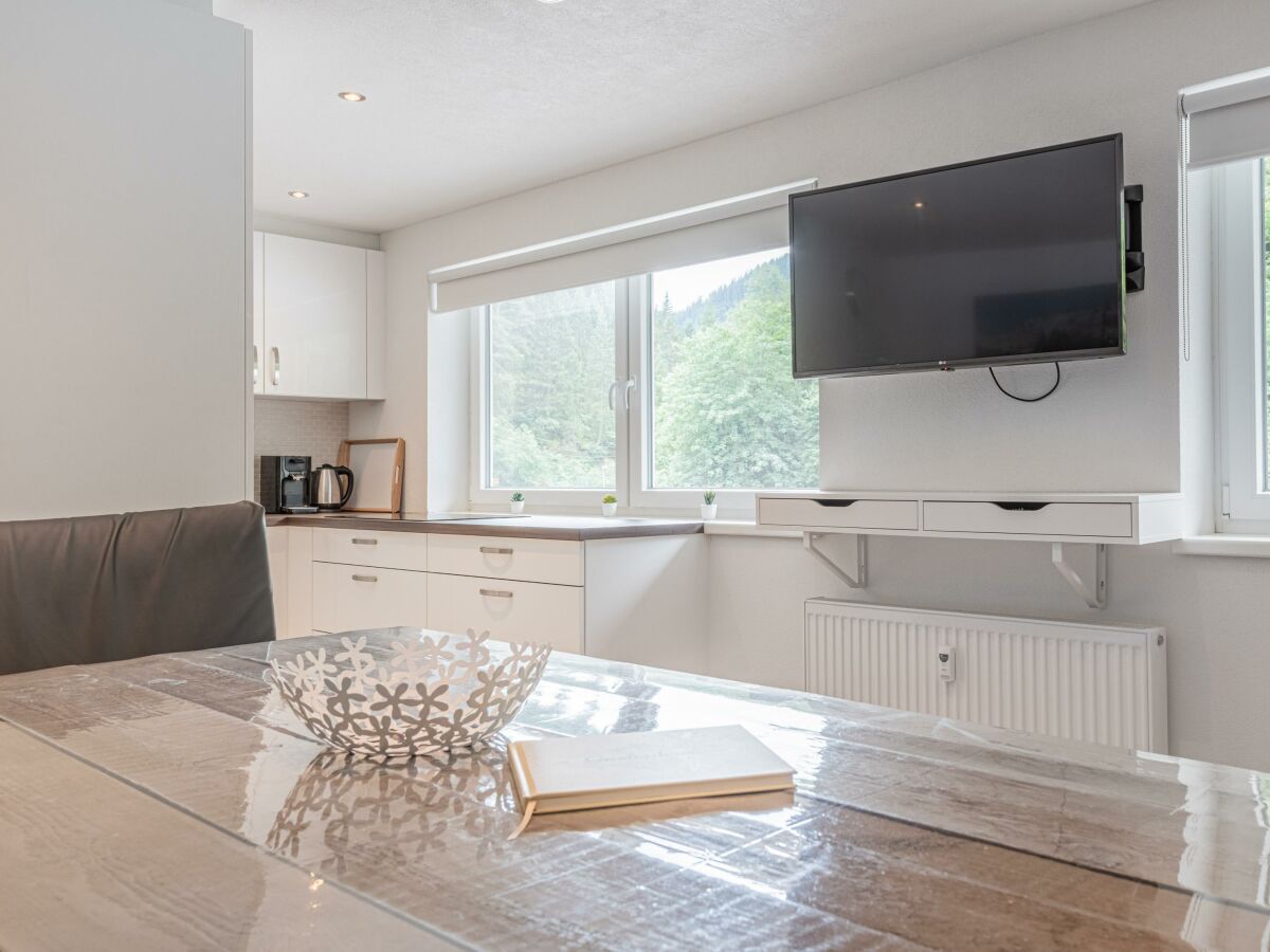 Apartment Haus Dienten Steinadler