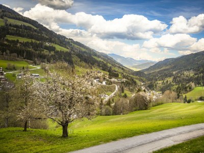 Apartment Ferienwohnung WEITSICHT - Outdoor photo 11