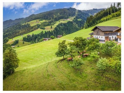 Apartment Ferienwohnung WEITSICHT - Outdoor photo 12