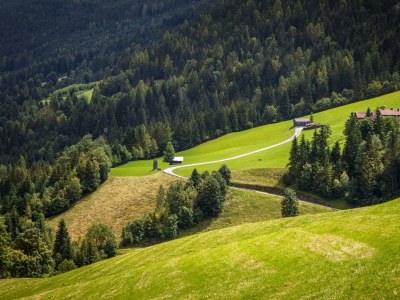Apartment Ferienwohnung WEITSICHT - Outdoor photo 31