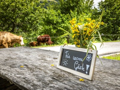 Apartment Ferienwohnung WEITSICHT - Outdoor photo 32