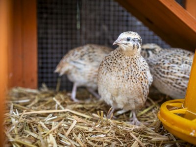 Apartment Ferienwohnung WEITSICHT - Outdoor photo 38