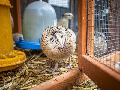 Apartment Ferienwohnung WEITSICHT - Outdoor photo 39