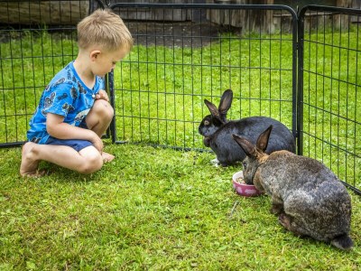 Apartment Ferienwohnung WEITSICHT - Outdoor photo 42