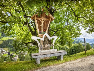 Apartment Ferienwohnung WEITSICHT - Outdoor photo 45