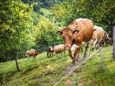 Apartment Ferienwohnung WEITSICHT - Outdoor photo 46
